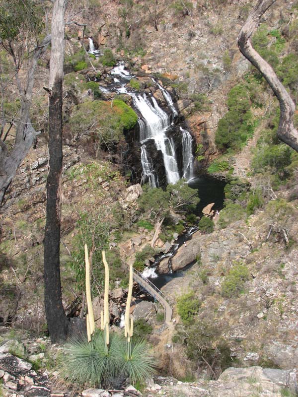 Mackenzie Falls